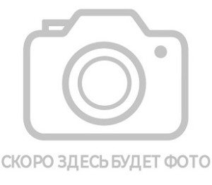 Изместьева Елизавета Андреевна